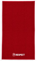 Загрузите картинку в просмотрщик галереи,UEFA RESPECT Badetuch – 150 x 90 cm
