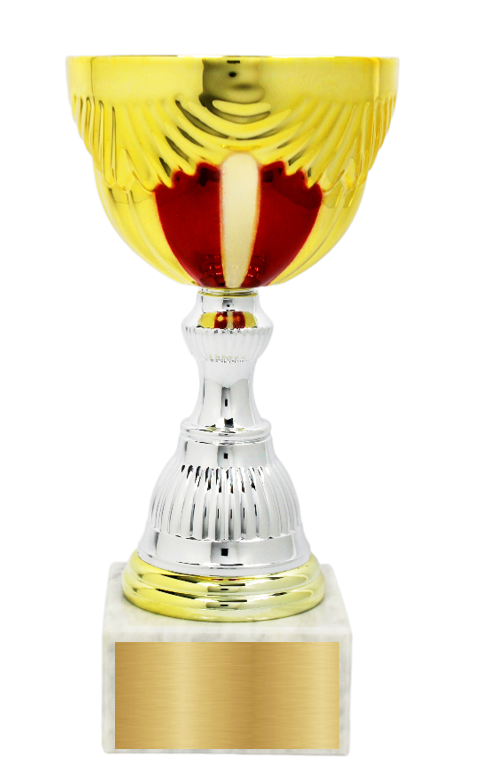 Personalisierter Gold-Roter Pokal mit Marmorsockel – 25,5 cm.