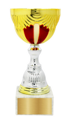 Lade das Bild in den Galerie-Viewer, Personalisierter Gold-Roter Pokal mit Marmorsockel – 25,5 cm.
